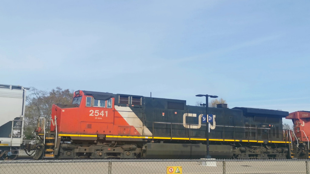 CN 2541